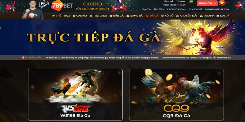 Đá Gà 789Bet hấp dẫn với các trận đấu hay