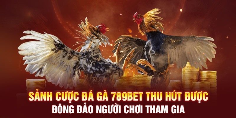 Đá gà là siêu phẩm của nhà cái 789bet