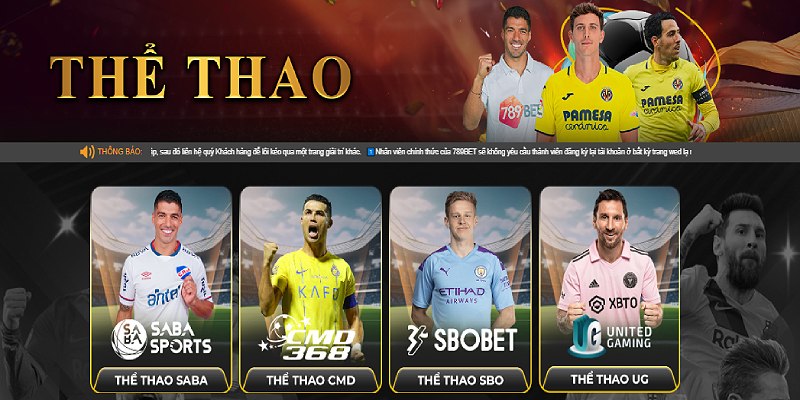 Khái quát về Thể Thao 789Bet